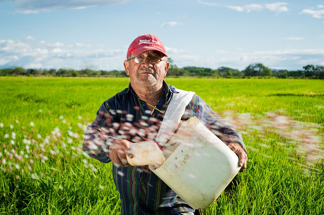 Farmer Representation