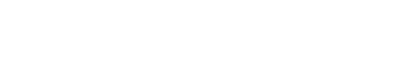 Havas Lynx Logo