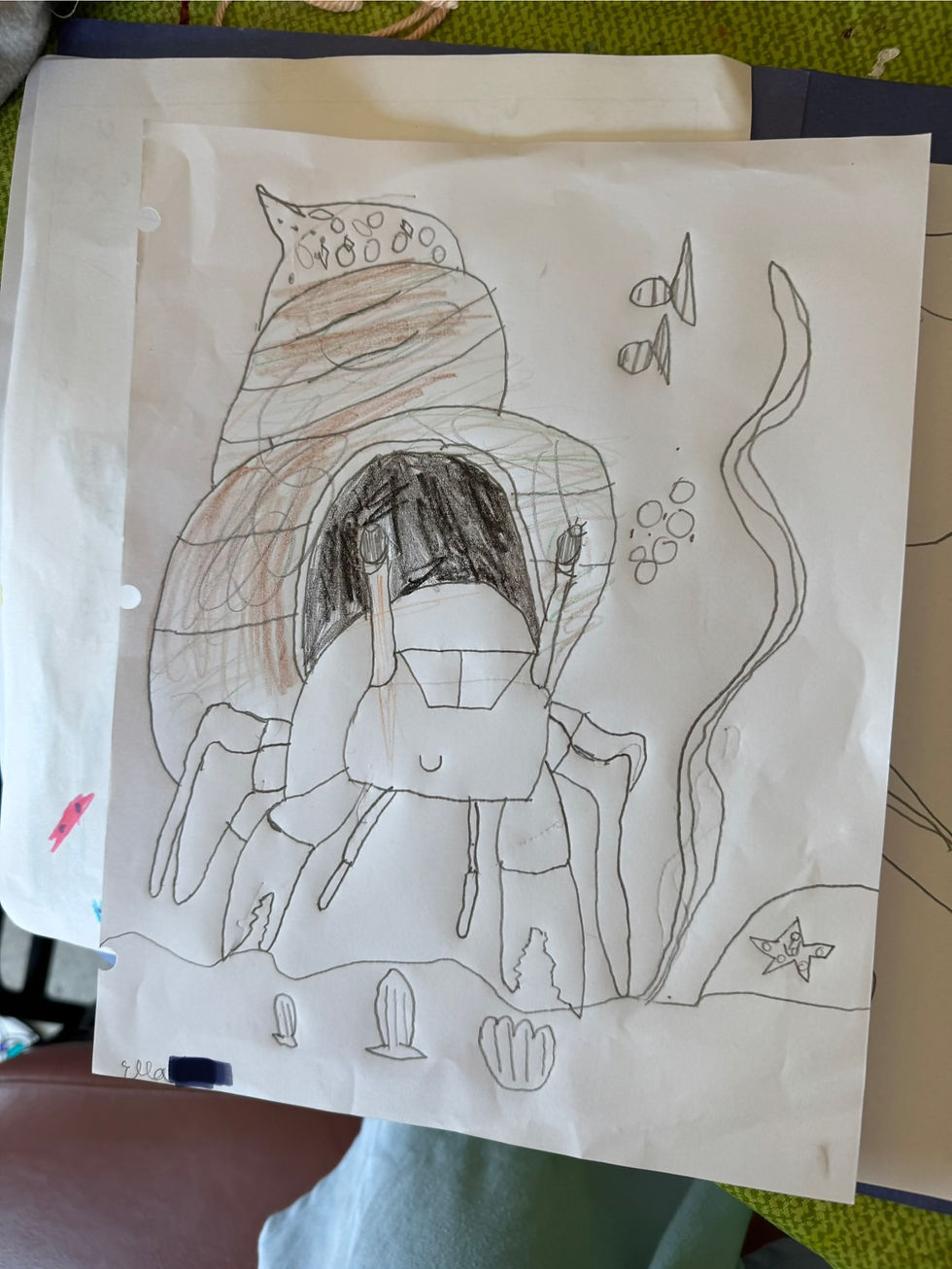 Hermit Crab Drawing
