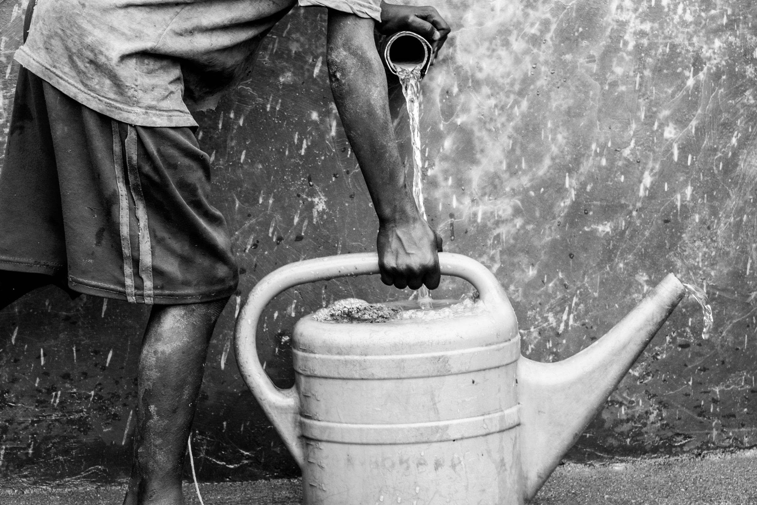 Get Involved | The Roots Network