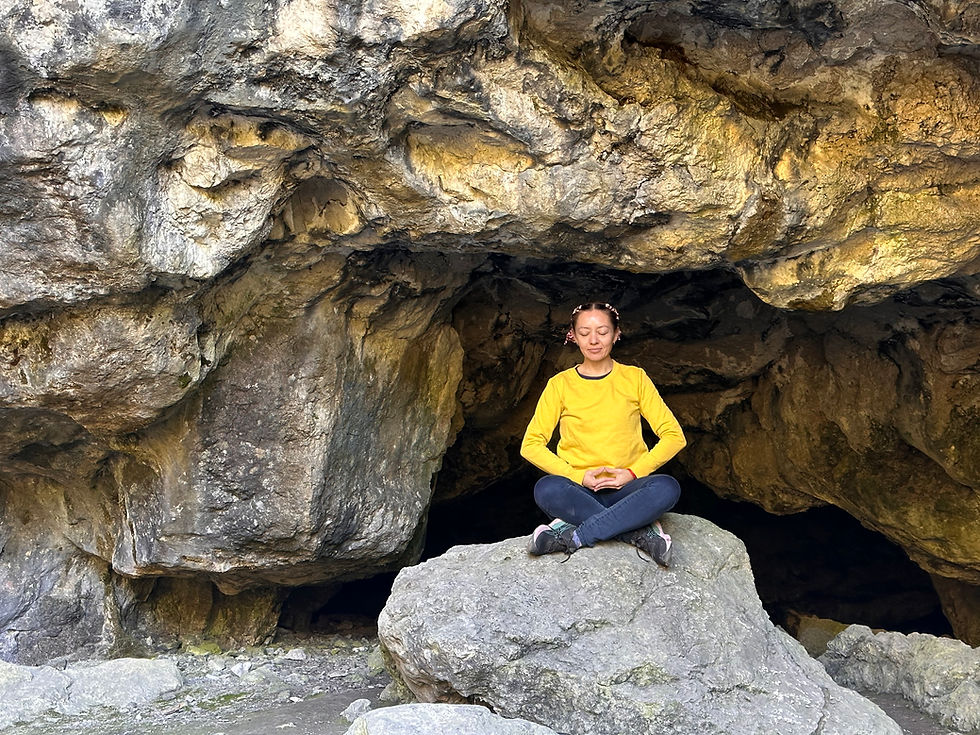 Explication des étapes préparatoires , Ngondros  (en ligne et en personne) 