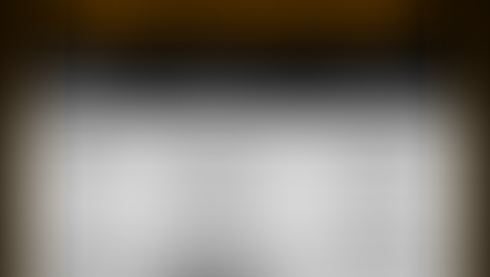 Beyond Metrics: Meeting Performance and Outcome-Based Obligations through a Strategic Framework