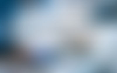 Compliance Operability Assessment Using Total Value Chain and Compliance Criticality Analysis