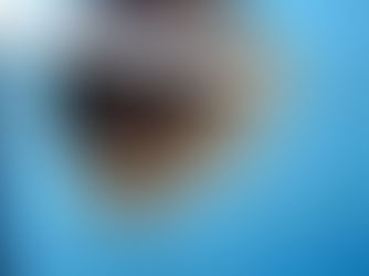 Partielle Inliner-Sanierung