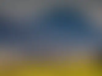 Merinos Yünü Nedir?