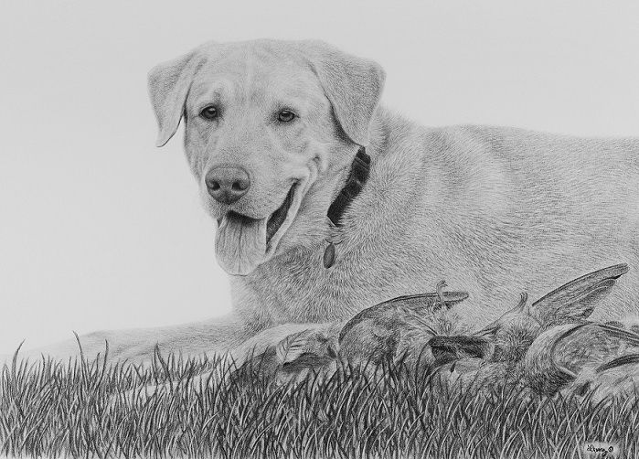 Beau
