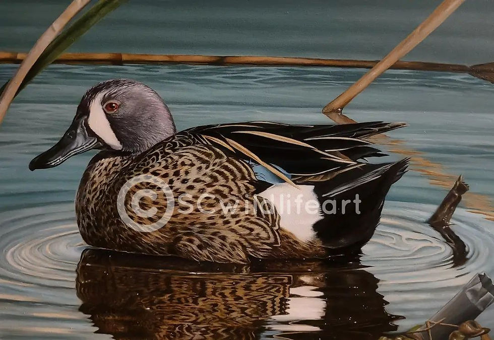 2021 Federal Duck Stamp Entry