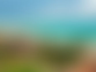 Melhor época para visitar Maragogi