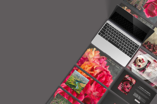 mockup landing rosa.png