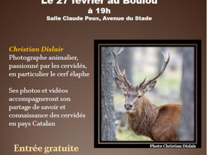 LES CERVIDÉS EN PAYS CATALAN