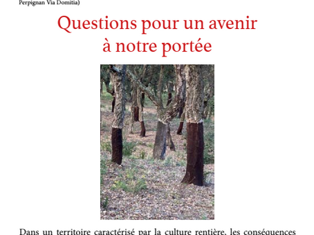 cONFERENCE PAR HERVE BLANCHARD ET YVES-PATRICK COLENO