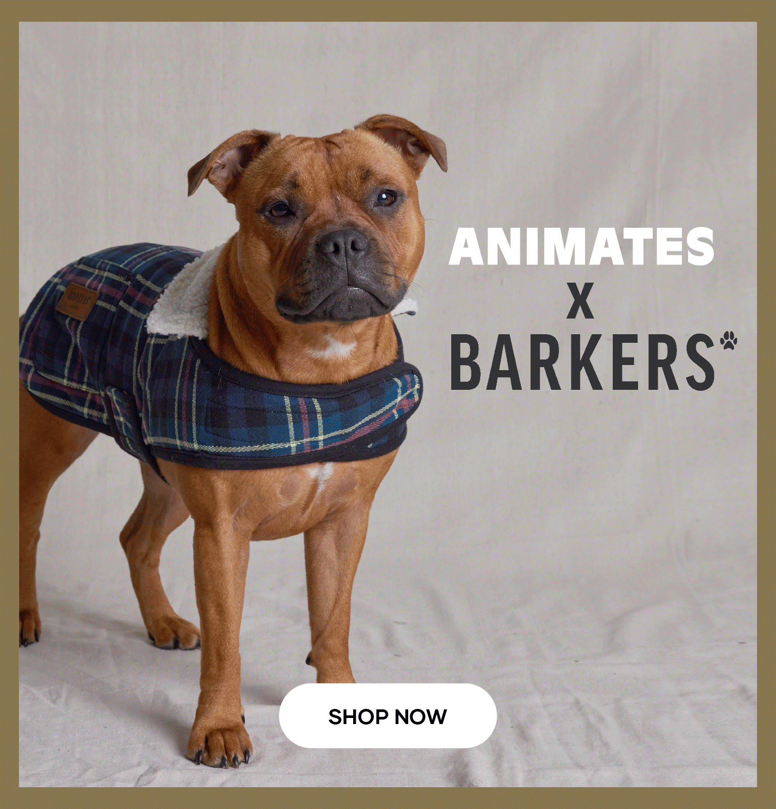 WK43-Winter-Fashion_Barkers_Homepage_FINAL.gif