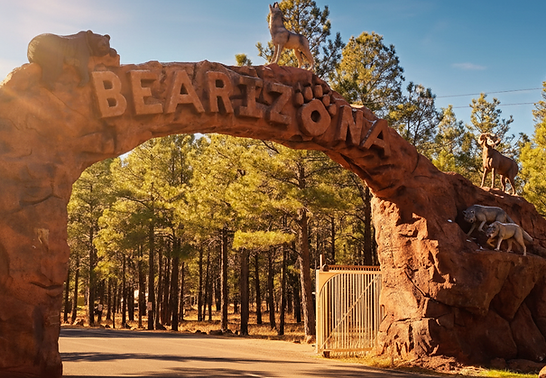 Generated Image November 09, 2025 - 9_44PM.png