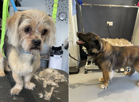 Screenshot 2026-04-22 at 14.00.19.png