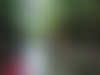 UPDATED OAR 2021 TOURING SCHEDULE