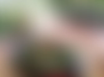 Meet U Cafe & Restaurant