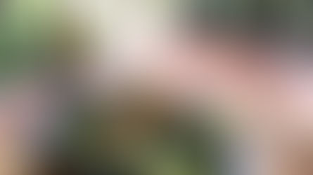 Meet U Cafe & Restaurant