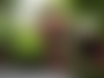 【曼谷景点】金汤普森博物馆。专人导览揭开泰丝大王之谜