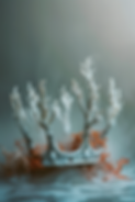 Thanas Crown.png