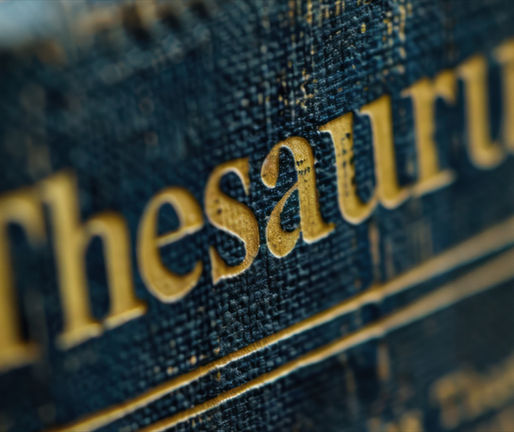 TERMS: for easier comprehension of this writing