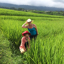 Bali Village Life