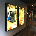 IMG-20250803-WA0018.jpg
