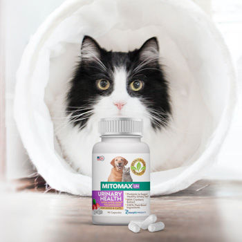 MITOMAX® UH is a plant-based probiotics supplement with cranberry for urinary health of dogs and cats made in the USA for sale. Imagilin® Technology.