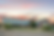 NTBC Edited Photoshop 20220618.png