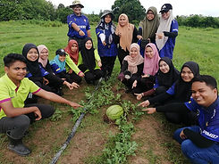 ladang.jpg