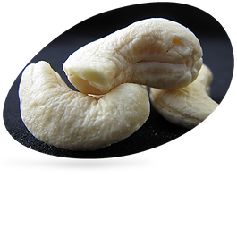 Nuts2.png