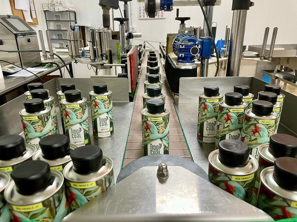 Miniatiūra: Alyvuogių aliejus De Sierra (500 ml)