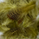 Miniature : Perdrix mélange plumes de cou et dos teinté 
