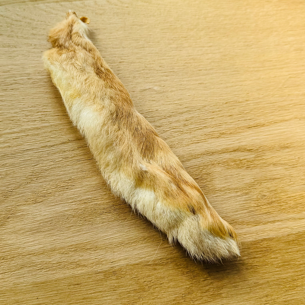 Miniature : PLA patte de lièvre arctique