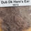 Miniature : Hares Ear plus dub Hareline