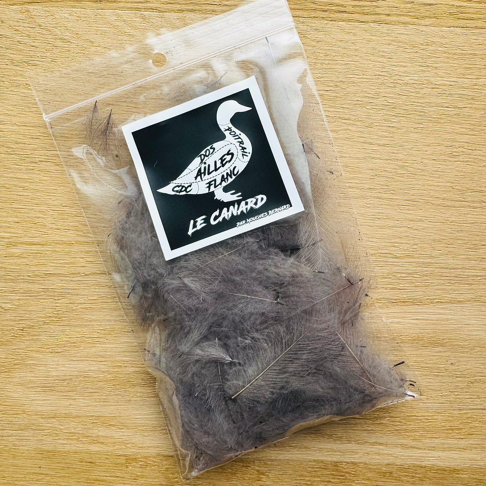 Miniature : Cul de canard teintes de gris 1G