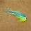 Miniature : streamer fluo pour la pêche du brochet en eau trouble