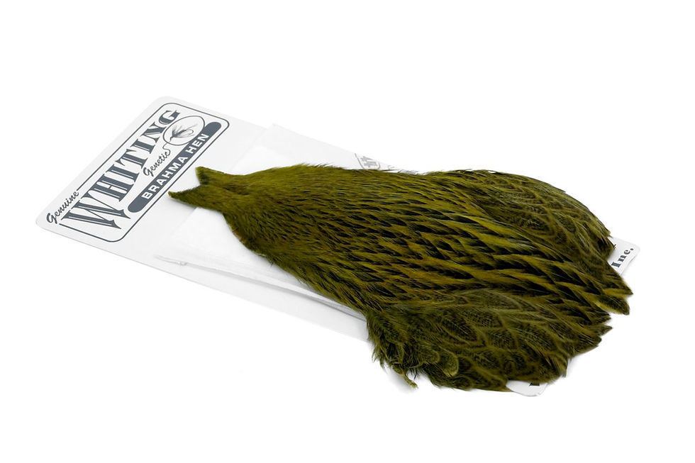 Miniature : Gros plan sur les fibres souples de la cape de poule Whiting