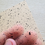 Miniature : Hopper wing (ailes de sauterelles )