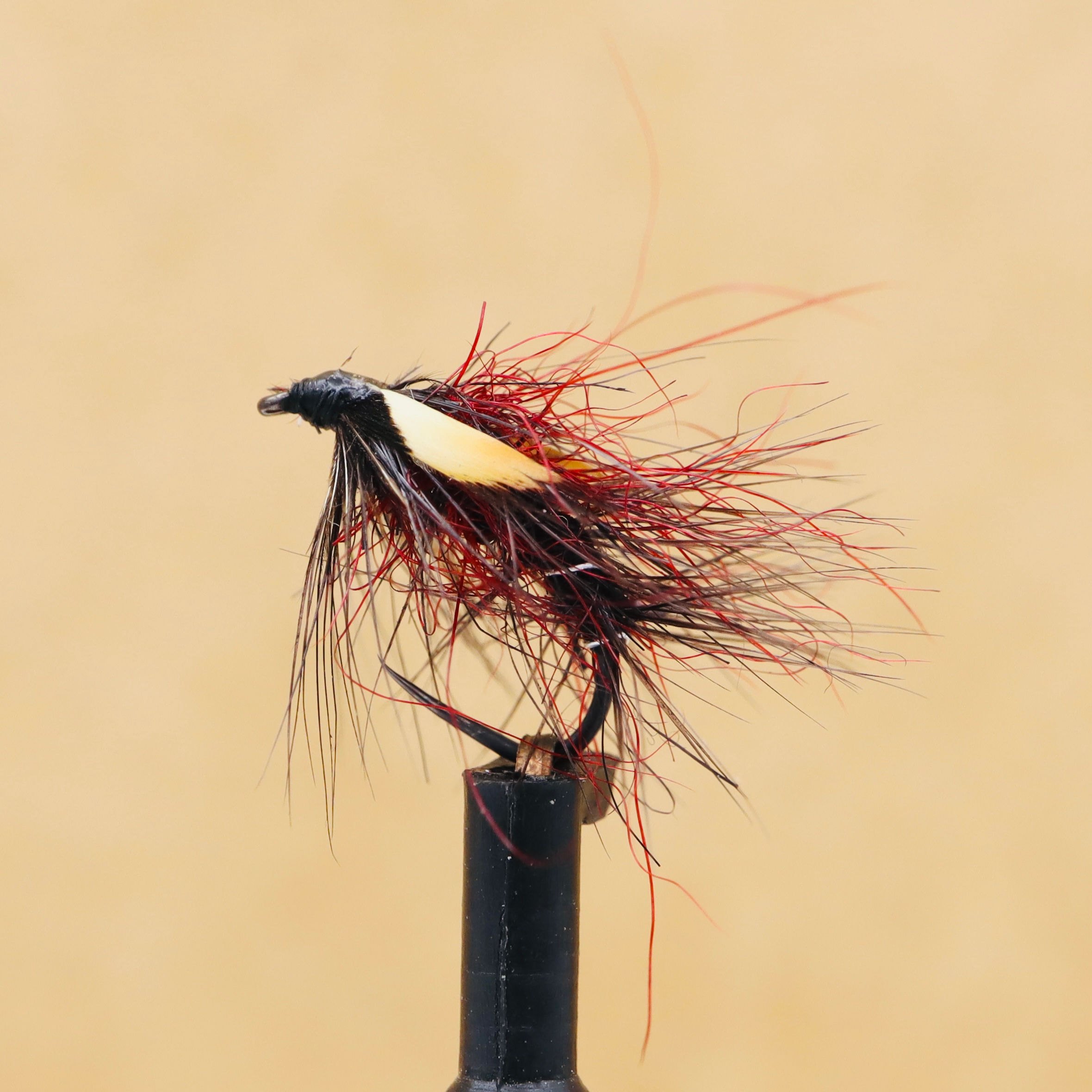 Snatcher Noir / Claret