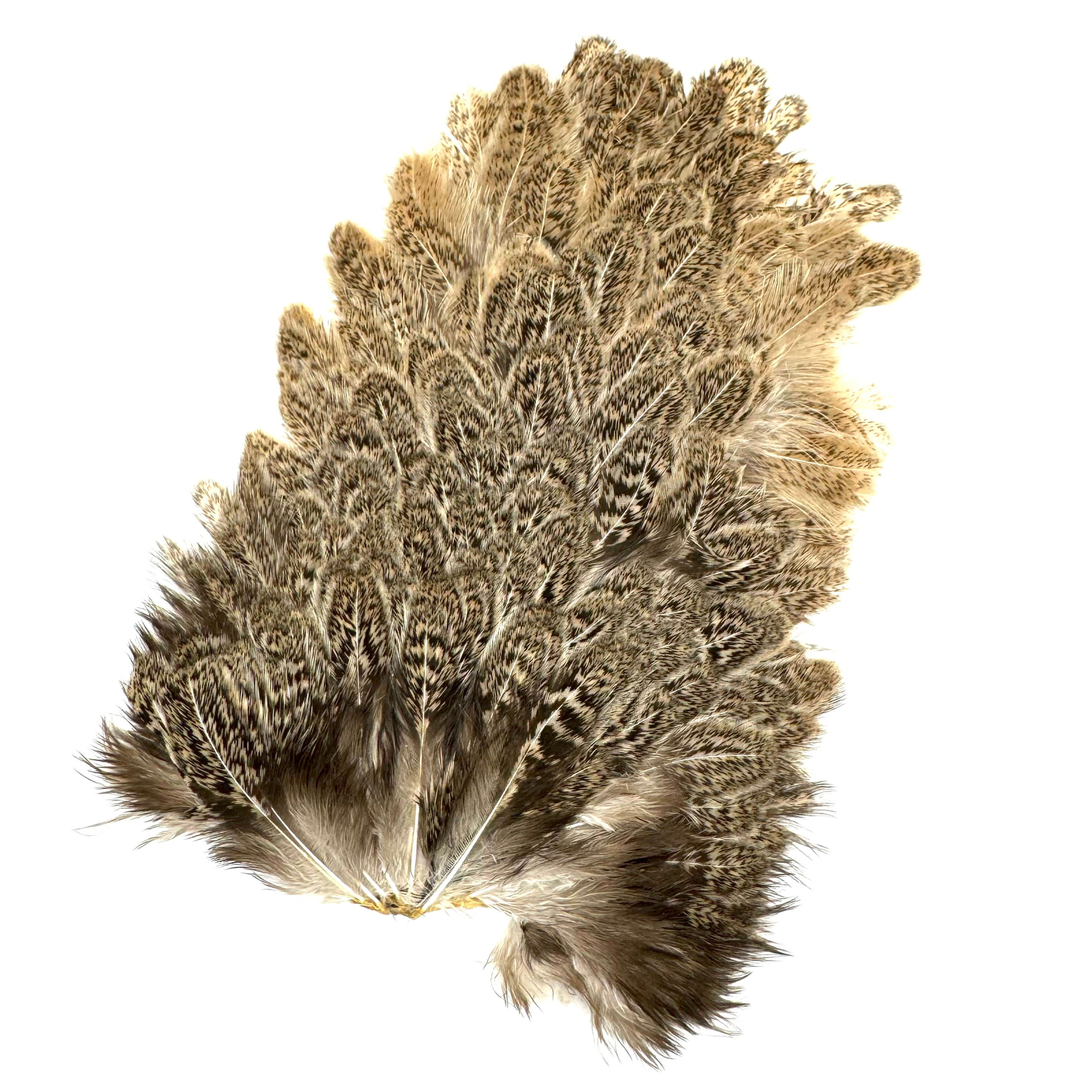 Saddle poule patch speckled Gray