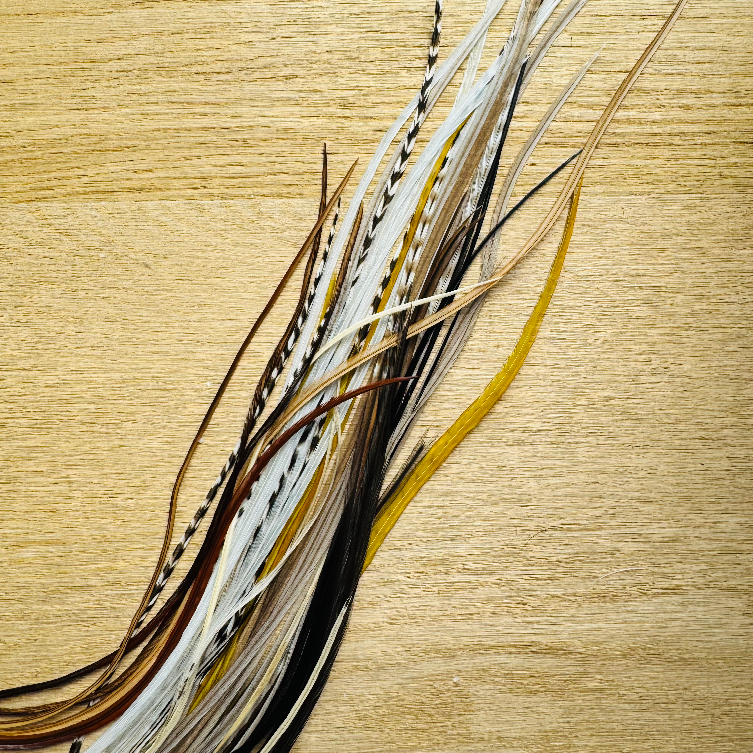 Lancettes sélection par taille