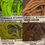 Miniature : Chenille Medium