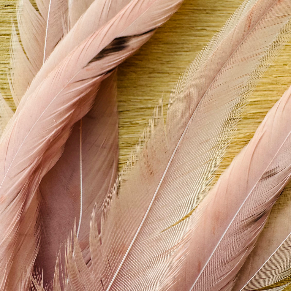 Miniature : Lancette streamer 