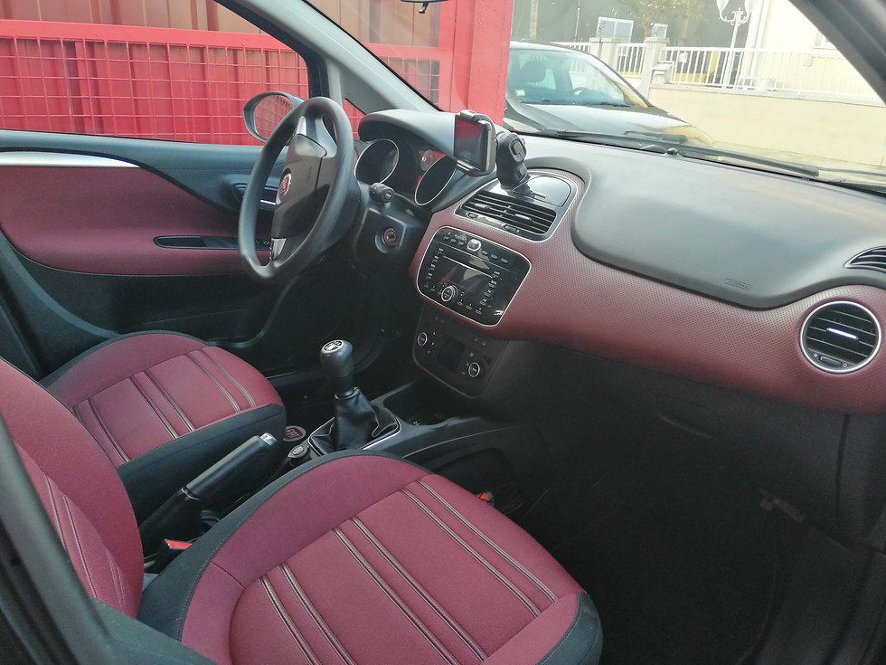Miniatura: Punto Evo Multijet