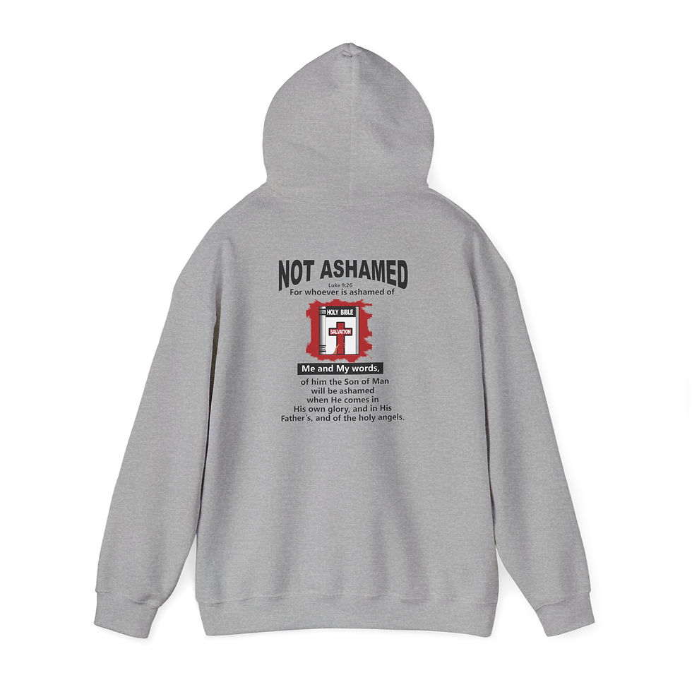 Thumbnail: Not Ashamed Hoodie Christian Scripture Hoodie Faith Hoodie