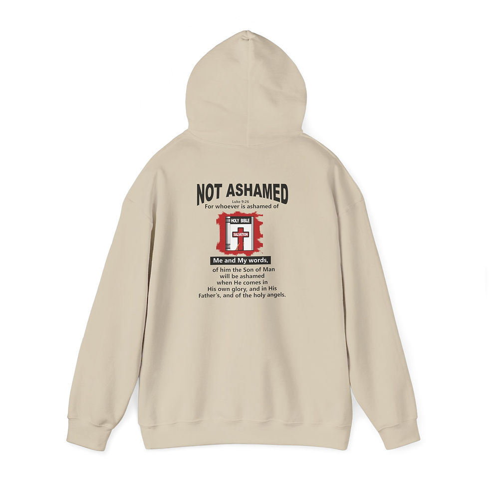 Thumbnail: Not Ashamed Hoodie Christian Scripture Hoodie Faith Hoodie