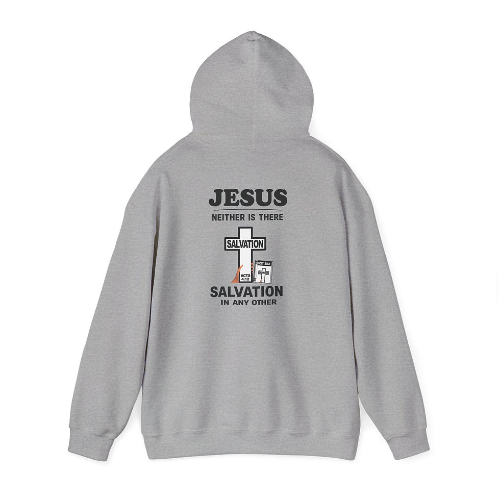 Thumbnail: Neither is there Salvation Faith Hoodie Christian Pullover