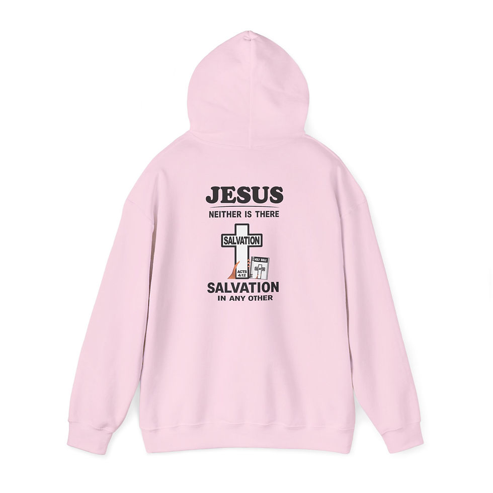 Thumbnail: Neither is there Salvation Faith Hoodie Christian Pullover