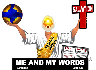 imageedit_2_4043566886.png