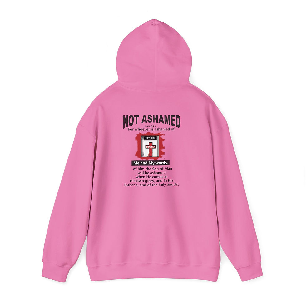 Thumbnail: Not Ashamed Hoodie Christian Scripture Hoodie Faith Hoodie